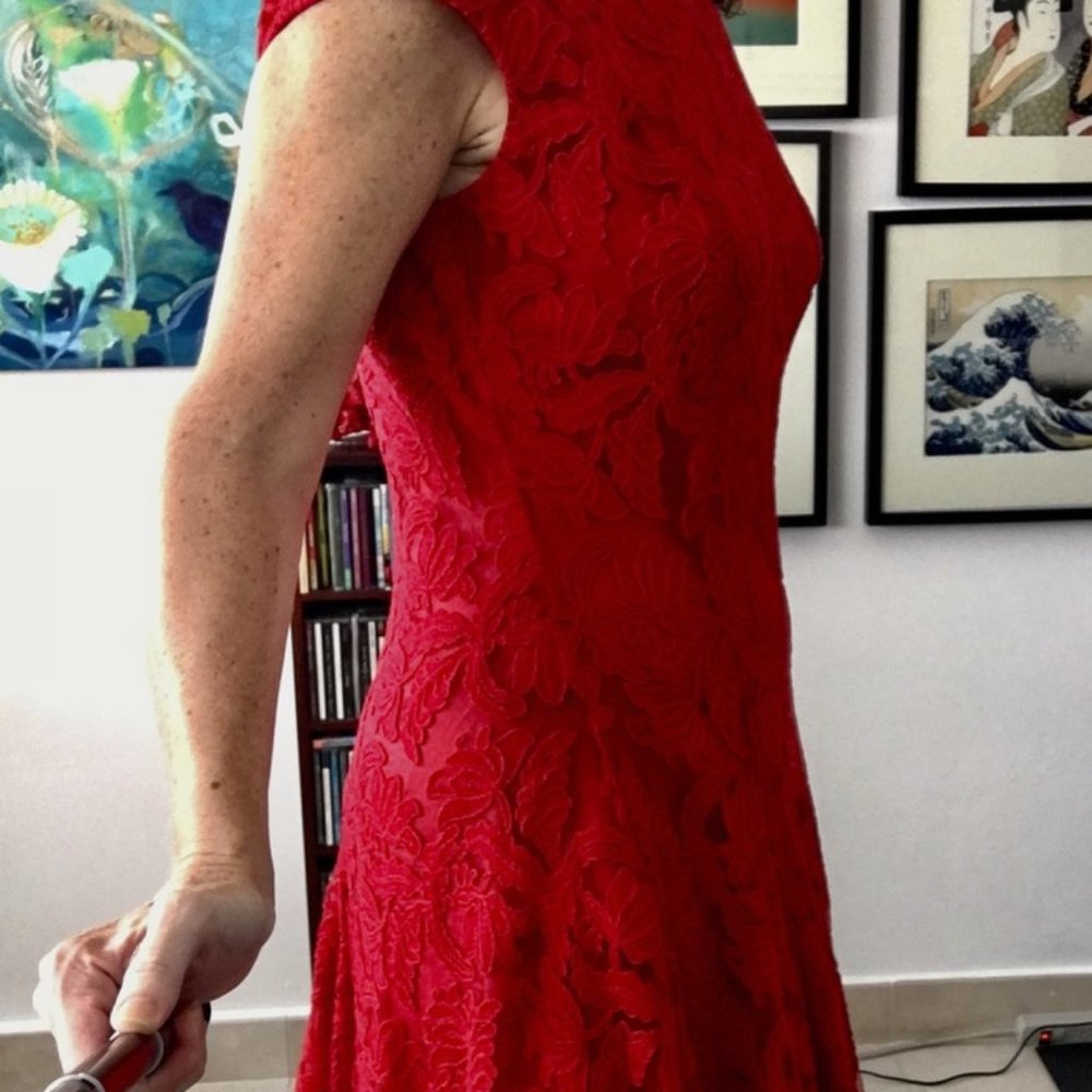 Carolina Herrera Red Lace Dress - Size 8 NWT - Picture 12 of 16
